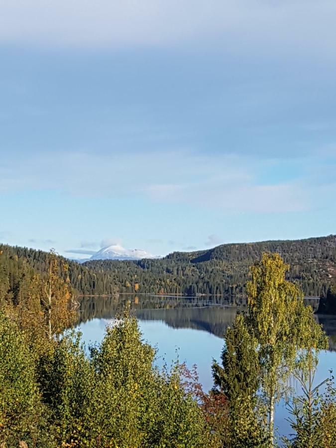 Panorama Cabin- Jacuzzi Available October 2025-May 2026 Lona Bagian luar foto
